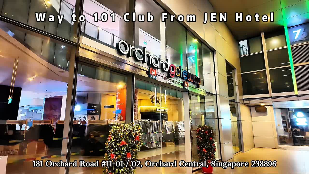 101 Club - Music, Energy & Unforgettable Nights